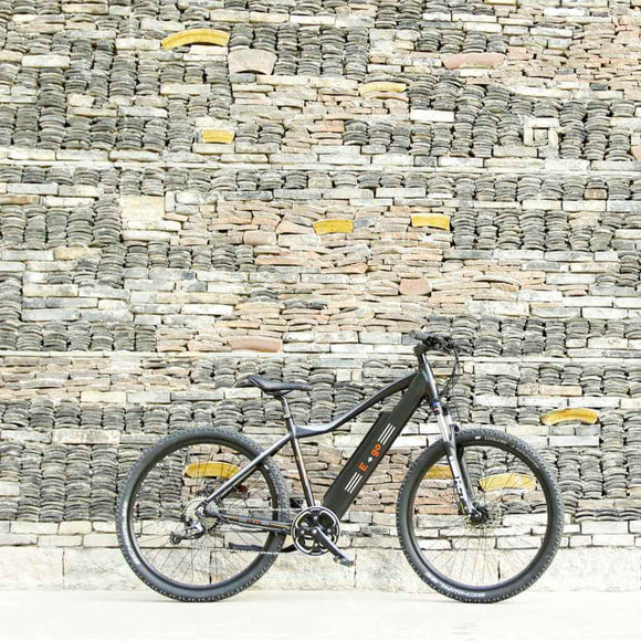 Commuter & Mountain E-Bikes