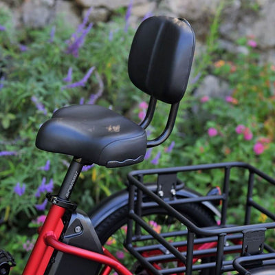 KARDA BUNGARRA E-TRIKE