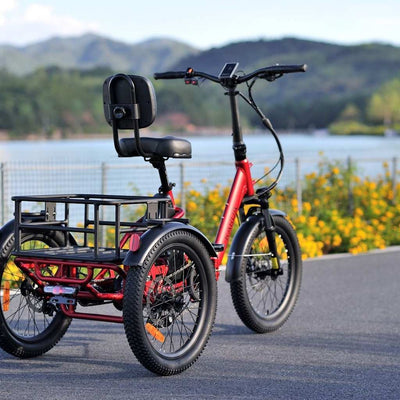 KARDA BUNGARRA E-TRIKE