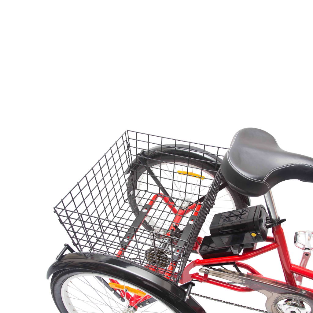 Royal london best sale adult tricycle