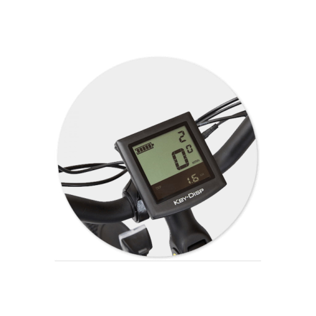 Carrier Electric Tricycle