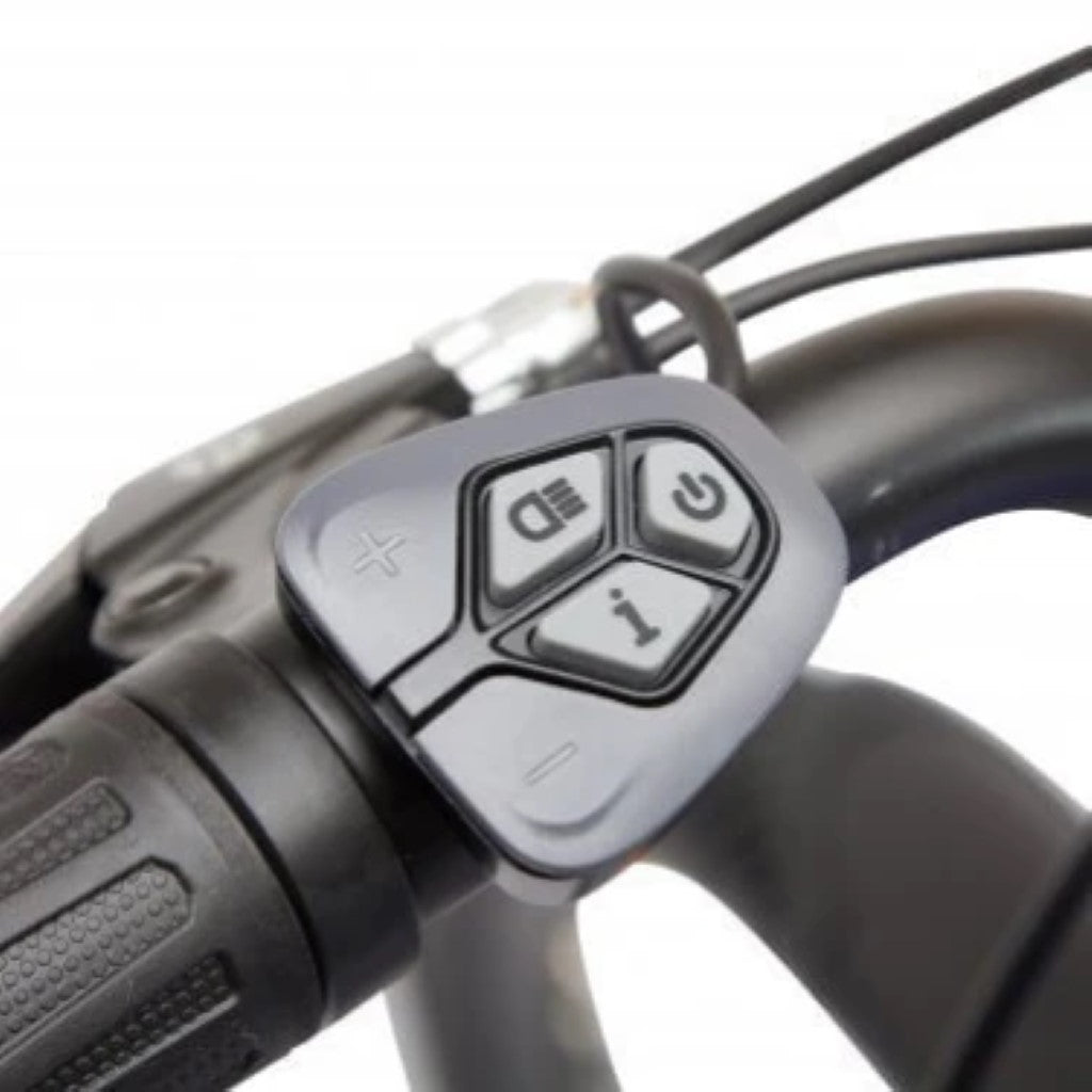 Carrier Electric Tricycle